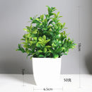 Artificial Bonsai Plant in Pot for Home Decor